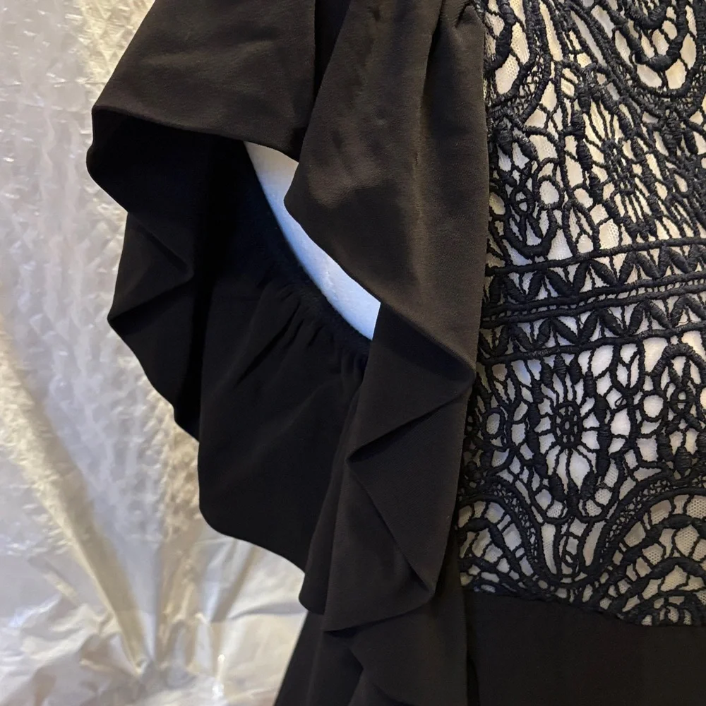 RED Valentino Black Lace Top - Size Medium - Picture 3 of 12